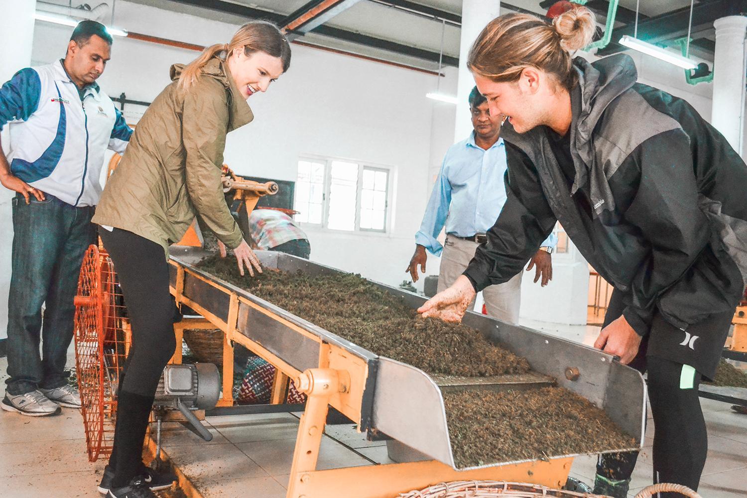 Tea And Experience Factory - Thema Collection Hotel Mandaran Newara Екстериор снимка