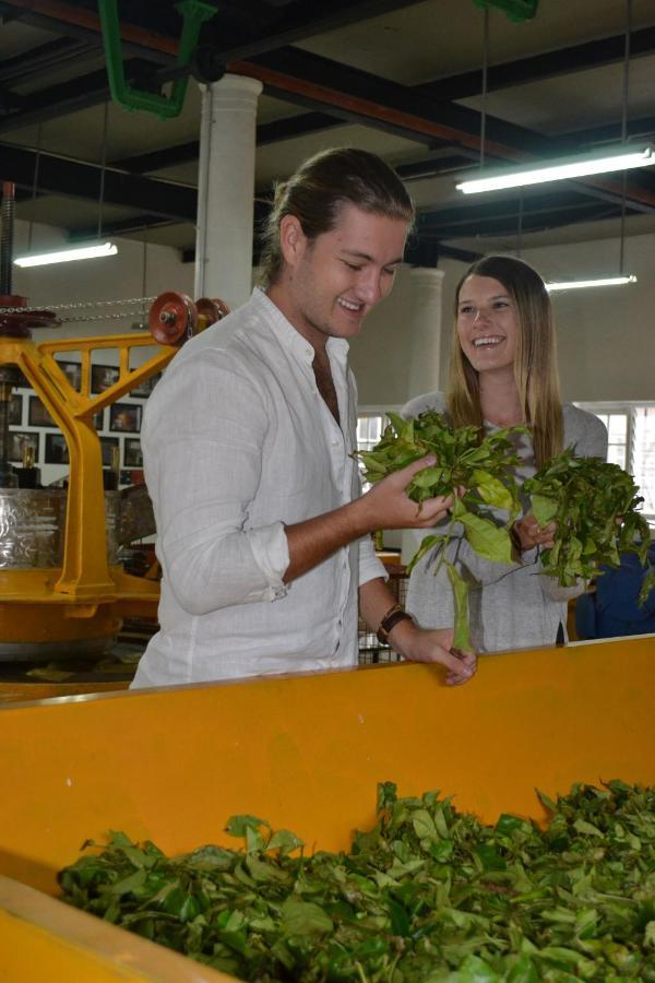 Tea And Experience Factory - Thema Collection Hotel Mandaran Newara Екстериор снимка